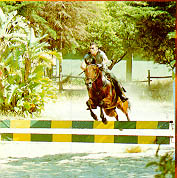 Equitao
