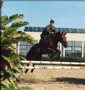 Equitao