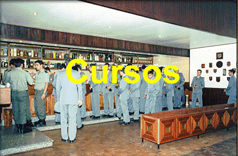Cursos