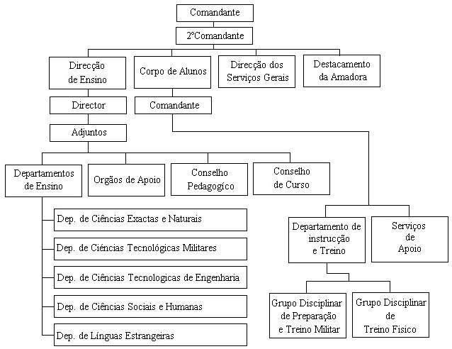 organigrama sintese da AM